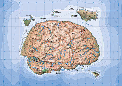 mapa-del-cerebro-horizontal